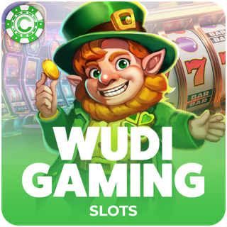 WUDI